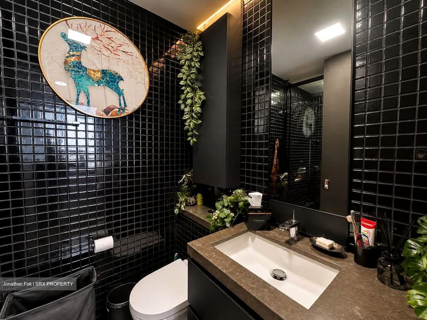 Skysuites@Anson (D2), Apartment #598222961